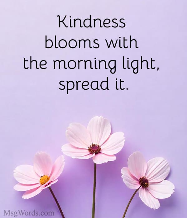 Kindness blooms with the morning light, spread it.