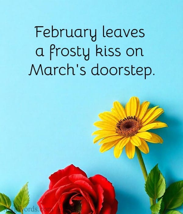February leaves a frosty kiss on March's doorstep.