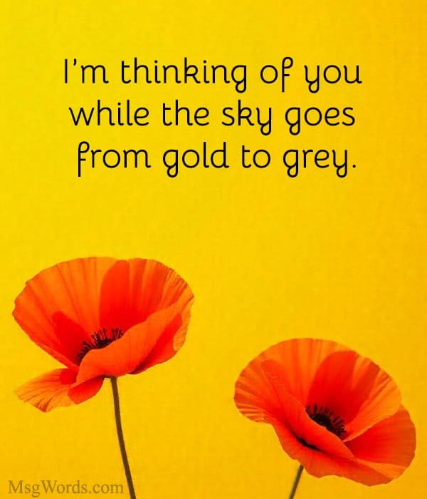 I’m thinking of you while the sky goes from gold to grey.