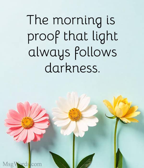 The morning is proof that light always follows darkness.