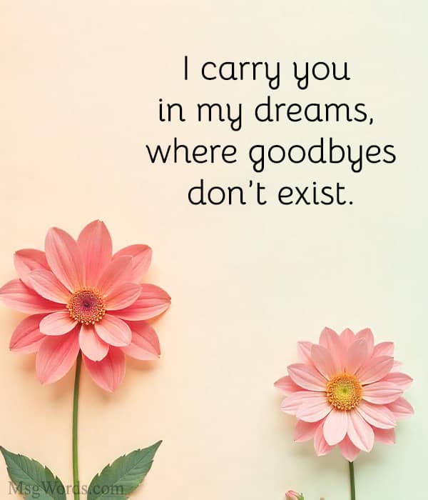 I carry you in my dreams, where goodbyes don’t exist.