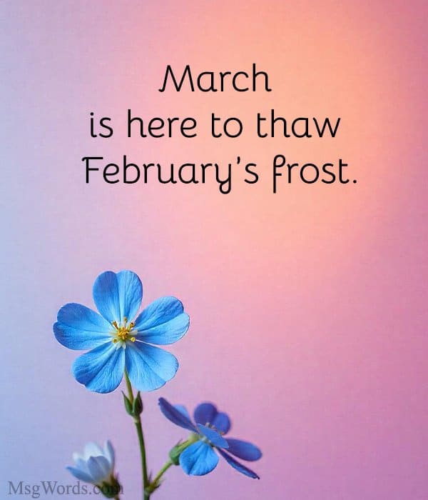 March is here to thaw February’s frost.