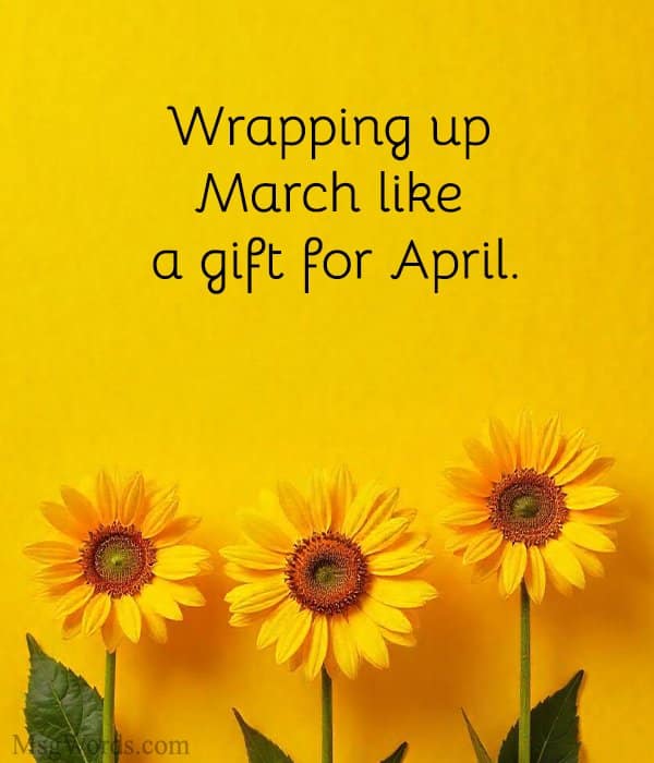 Wrapping up March like a gift for April.