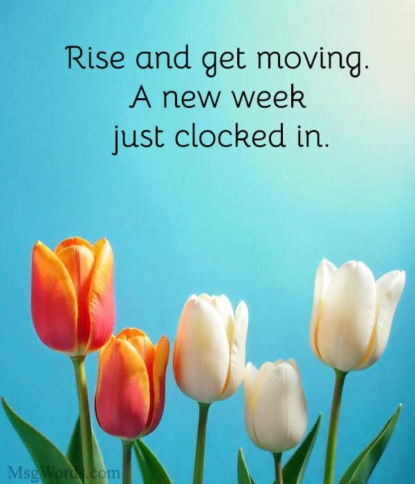 Rise and get moving. A new week just clocked in.