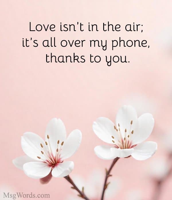 Love isn’t in the air; it’s all over my phone, thanks to you.
