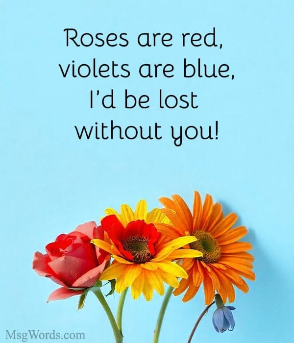 Roses are red, violets are blue, I’d be lost without you!