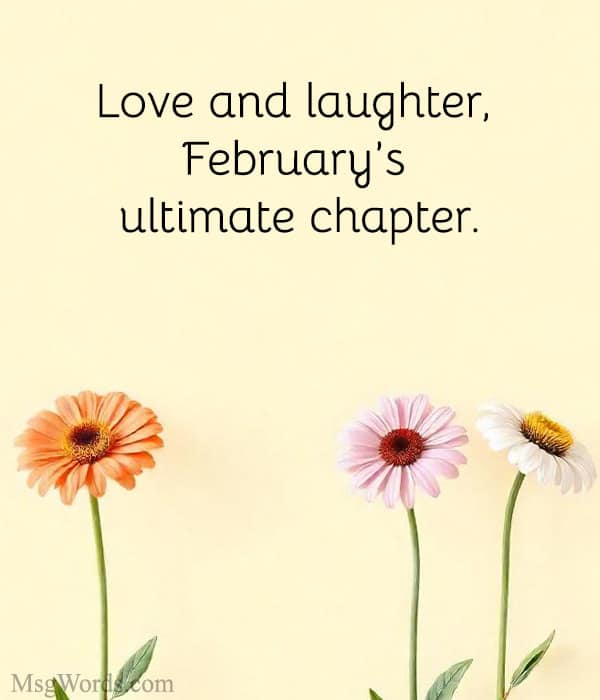Love and laughter, February’s ultimate chapter.