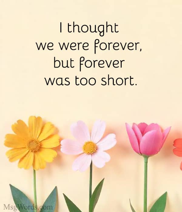 I thought we were forever, but forever was too short.