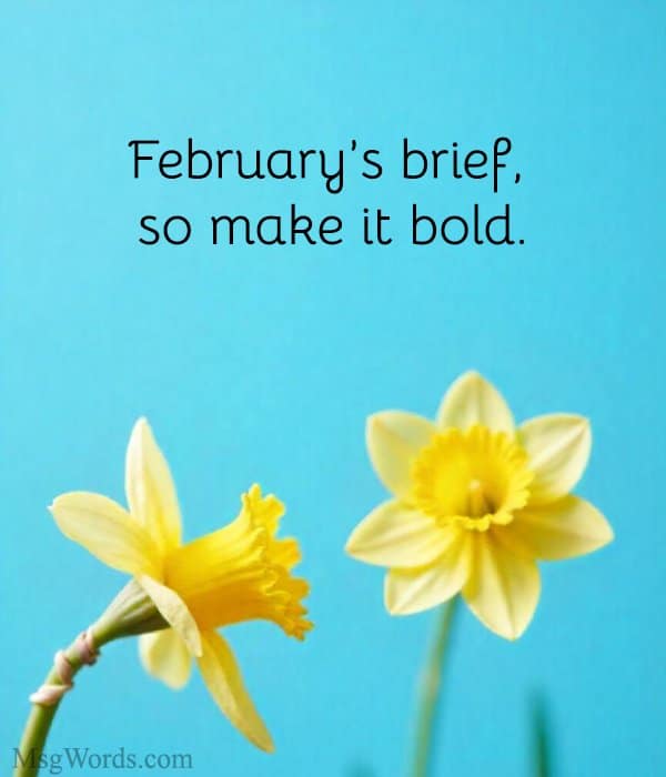 February’s brief, so make it bold.