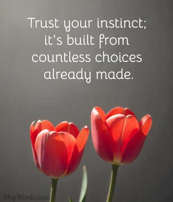 Trust your instinct; it's built from countless choices already made.