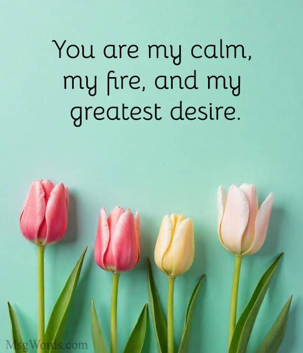 You are my calm, my fire, and my greatest desire.