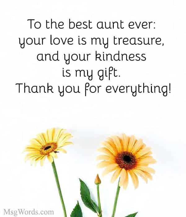 To the best aunt ever: your love is my treasure, and your kindness is my gift. Thank you for everything!