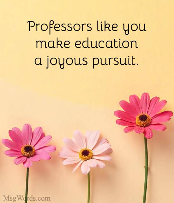 Professors like you make education a joyous pursuit.