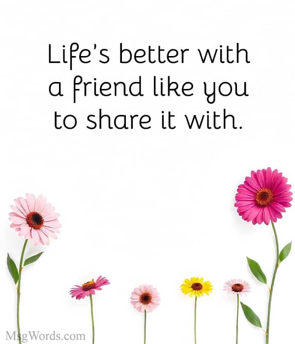 Life’s better with a friend like you to share it with.