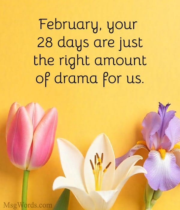 February, your 28 days are just the right amount of drama for us.