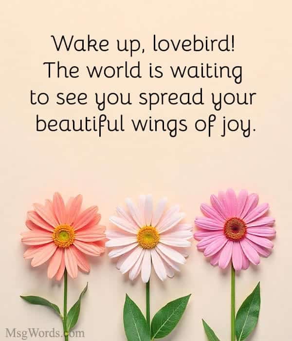 Wake up, lovebird! The world is waiting to see you spread your beautiful wings of joy.