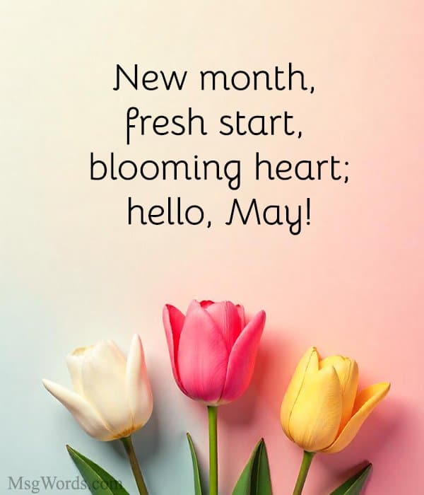 New month, fresh start, blooming heart; hello, May!