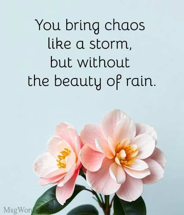 You bring chaos like a storm, but without the beauty of rain.