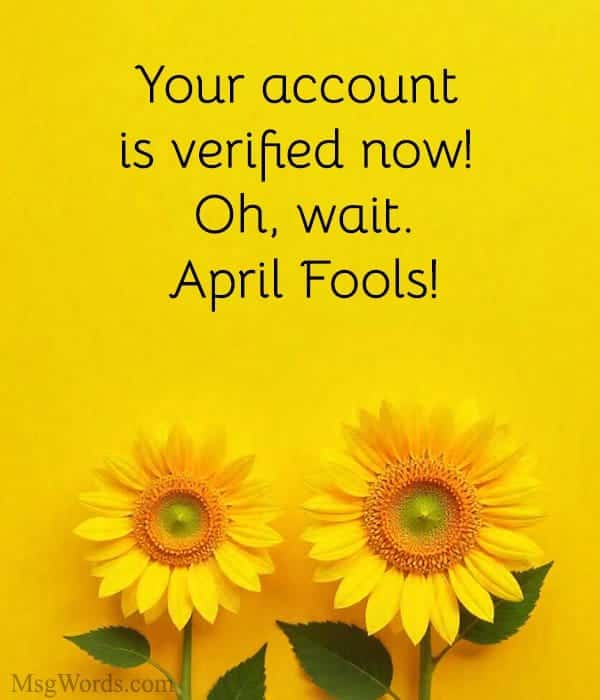 Your account is verified now! Oh, wait. April Fools!