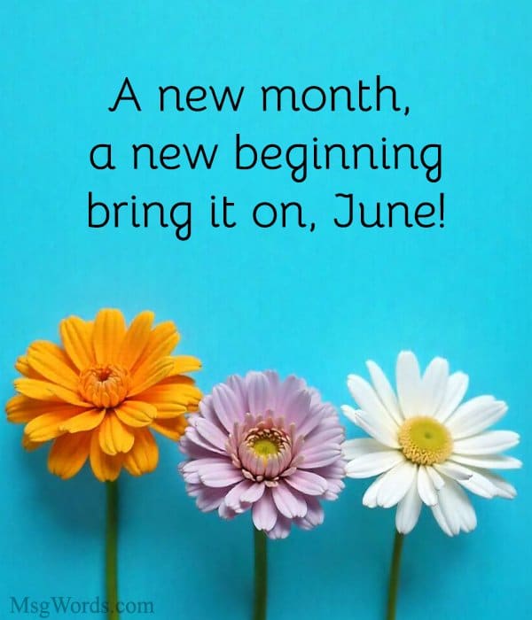 A new month, a new beginning; bring it on, June!