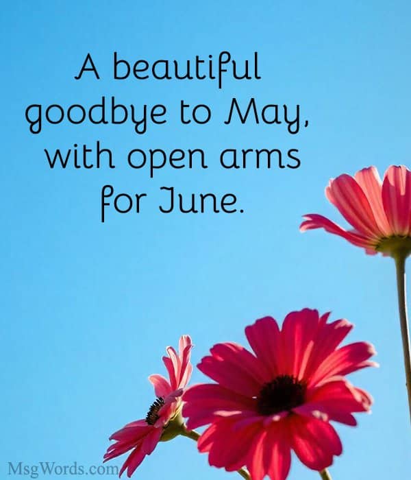 A beautiful goodbye to May, with open arms for June. 🌿