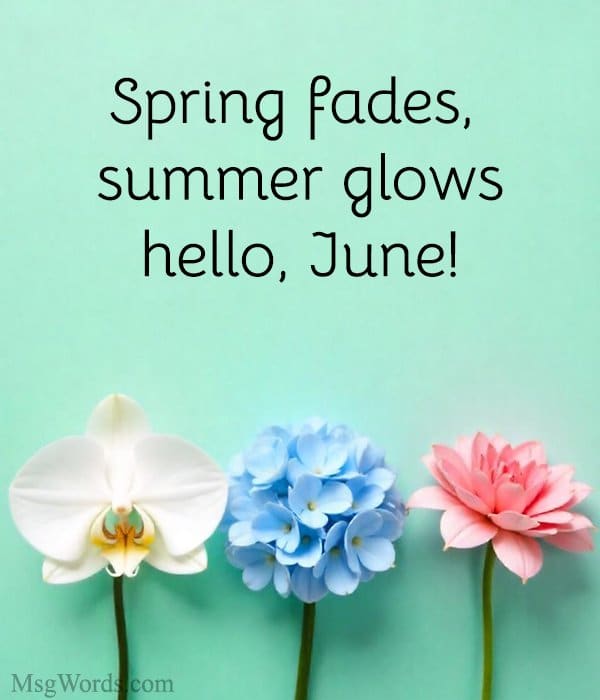 Spring fades, summer glows; hello, June!