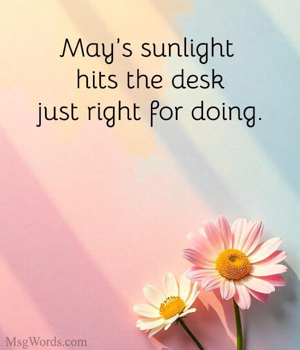 May’s sunlight hits the desk just right for doing.