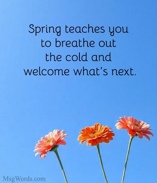 Spring teaches you to breathe out the cold and welcome what’s next.