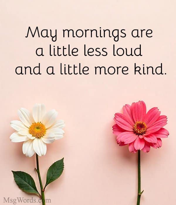 May mornings are a little less loud and a little more kind.