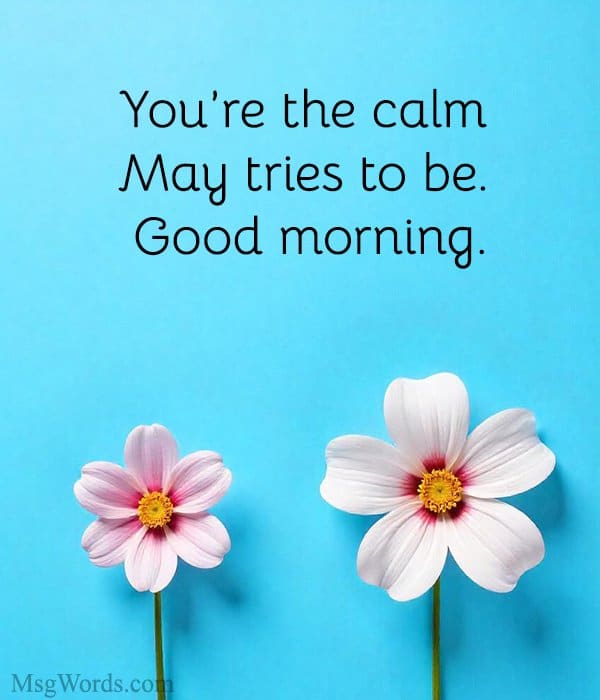 You’re the calm May tries to be. Good morning.