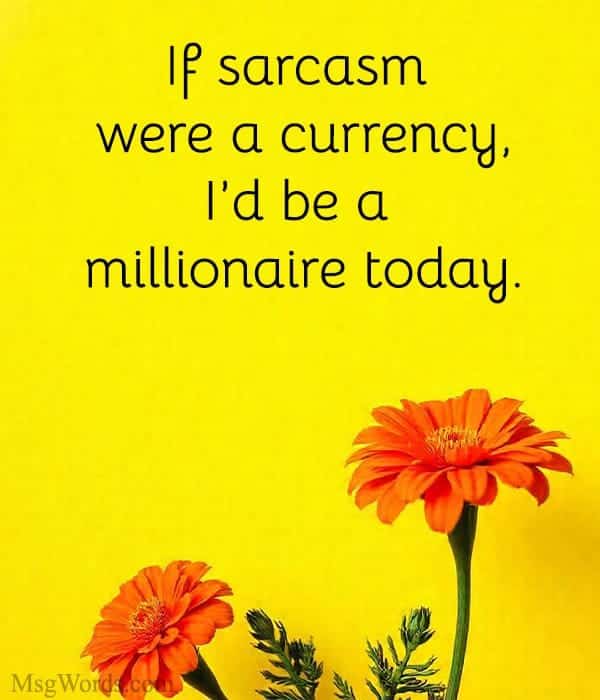 If sarcasm were a currency, I’d be a millionaire today.