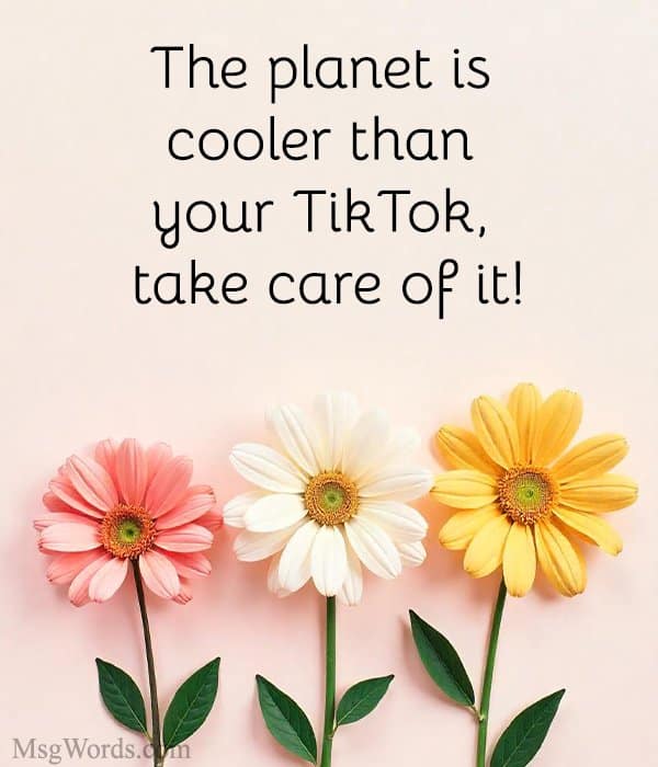 The planet is cooler than your TikTok, take care of it!