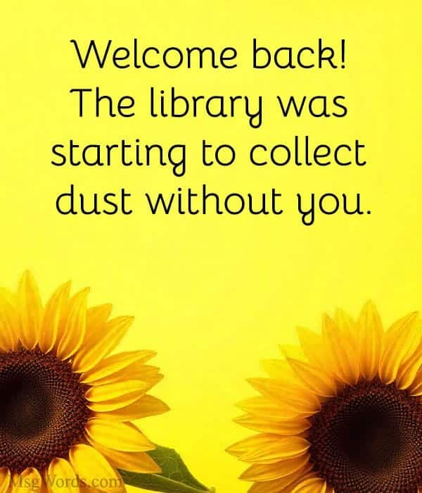 Welcome back! The library was starting to collect dust without you.