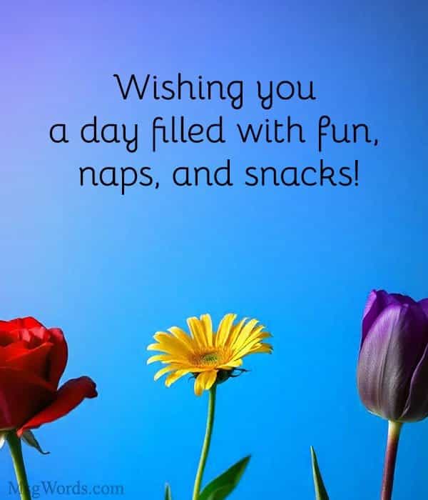 Wishing you a day filled with fun, naps, and snacks!