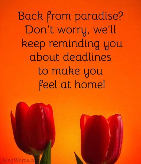 Back from paradise? Don’t worry, we’ll keep reminding you about deadlines to make you feel at home!