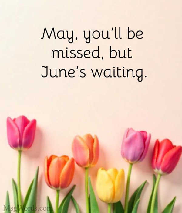 May, you’ll be missed… but June’s waiting. 🌸💖
