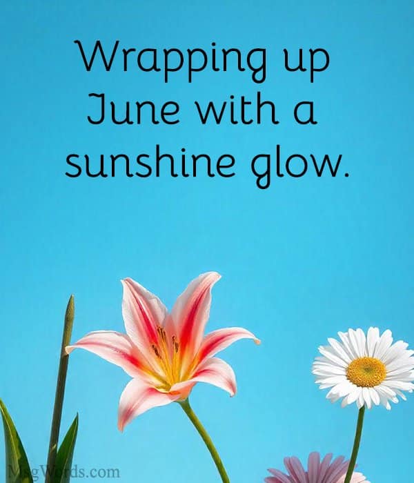 Wrapping up June with a sunshine glow.