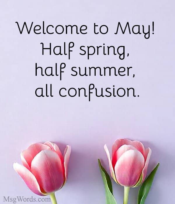 Welcome to May! Half spring, half summer, all confusion.