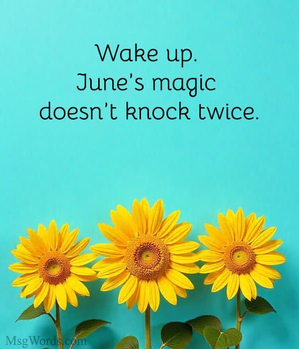 Wake up. June’s magic doesn’t knock twice.