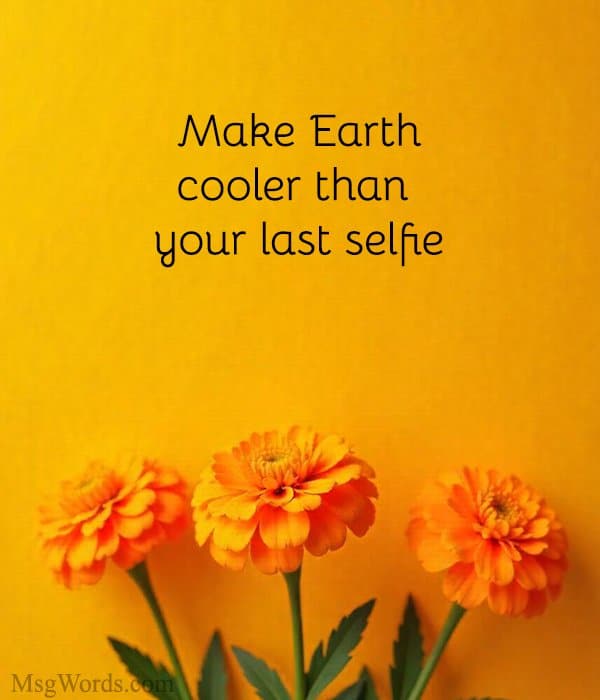 Make Earth cooler than your last selfie.