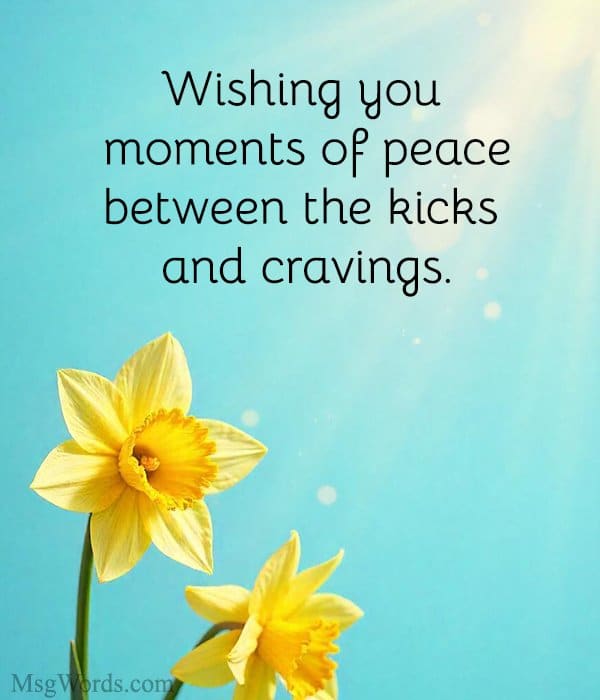 Wishing you moments of peace between the kicks and cravings.