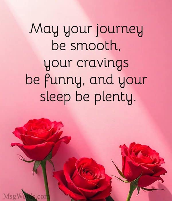May your journey be smooth, your cravings be funny, and your sleep be plenty.