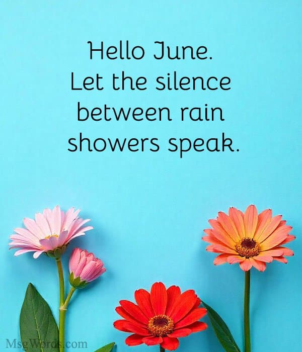 Hello June. Let the silence between rain showers speak.