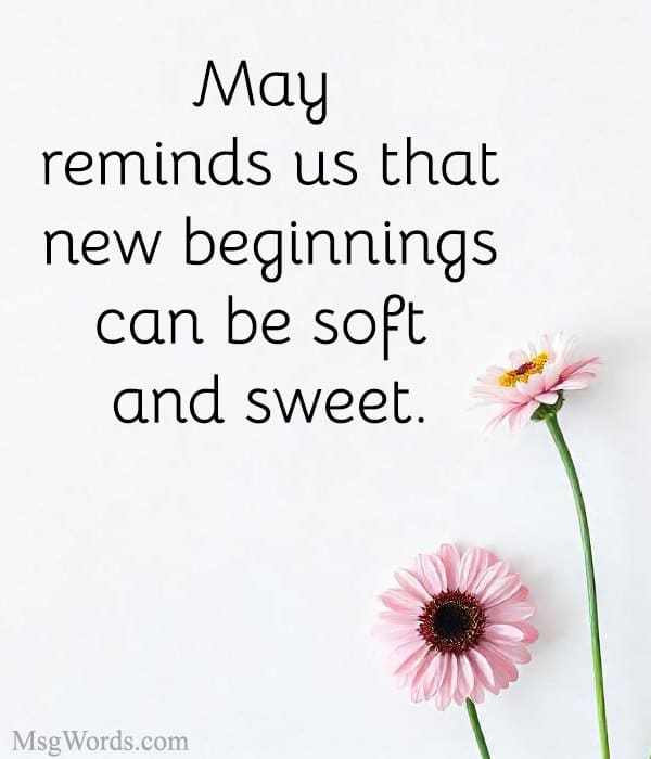 May reminds us that new beginnings can be soft and sweet.