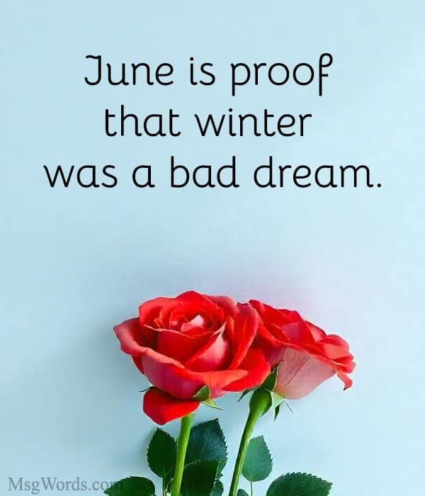 June is proof that winter was a bad dream.