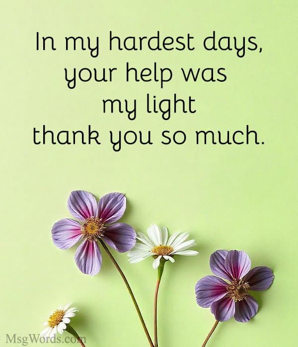 In my hardest days, your help was my light; thank you so much.