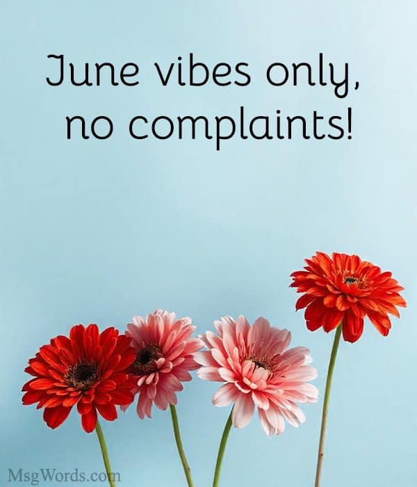 June vibes only, no complaints!
