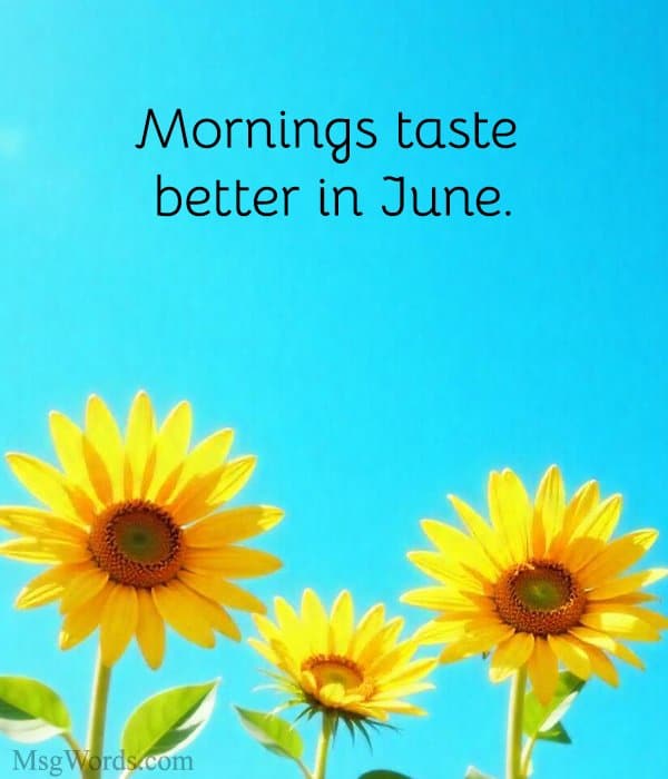 Mornings taste better in June.