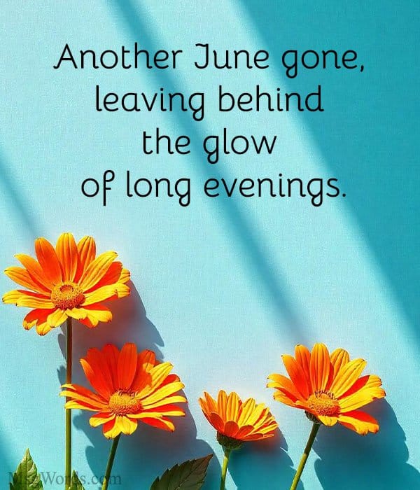 Another June gone, leaving behind the glow of long evenings.