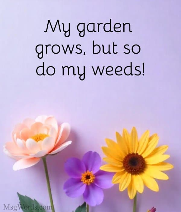 My garden grows, but so do my weeds!